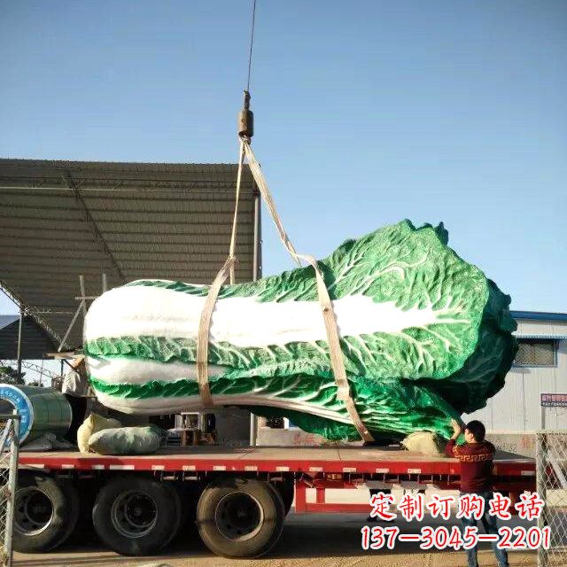 达州白菜之美——给你一份独特的食材