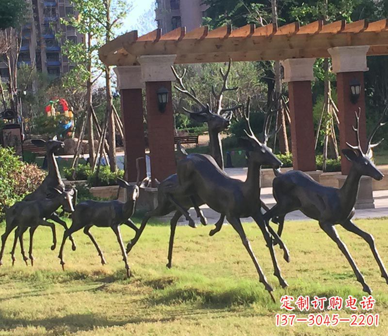 达州“梅花鹿传递自由与美好”