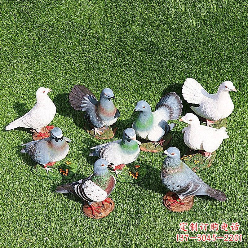 达州和平鸽毕加索激发的美好灵感