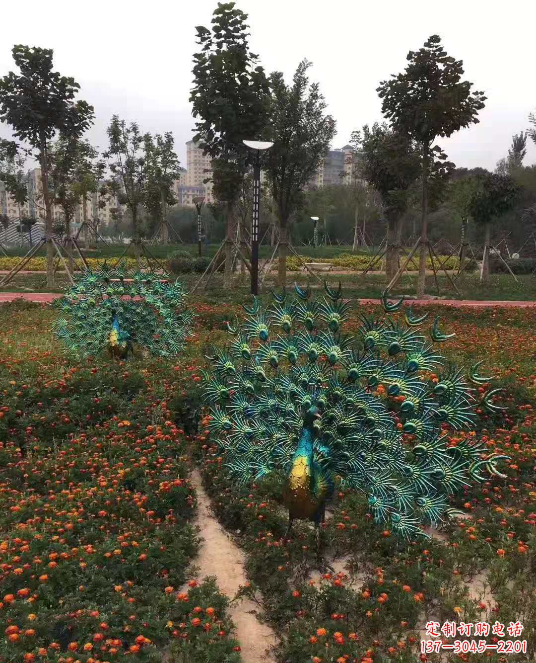 达州不锈钢彩绘孔雀雕塑