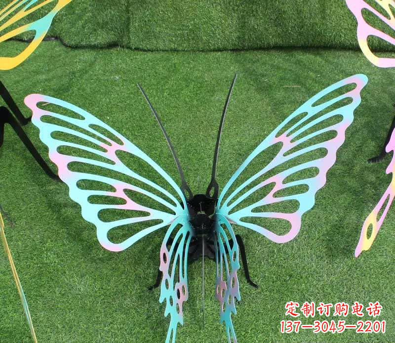 达州彩色不锈钢镂空蝴蝶雕塑精美又充满生机
