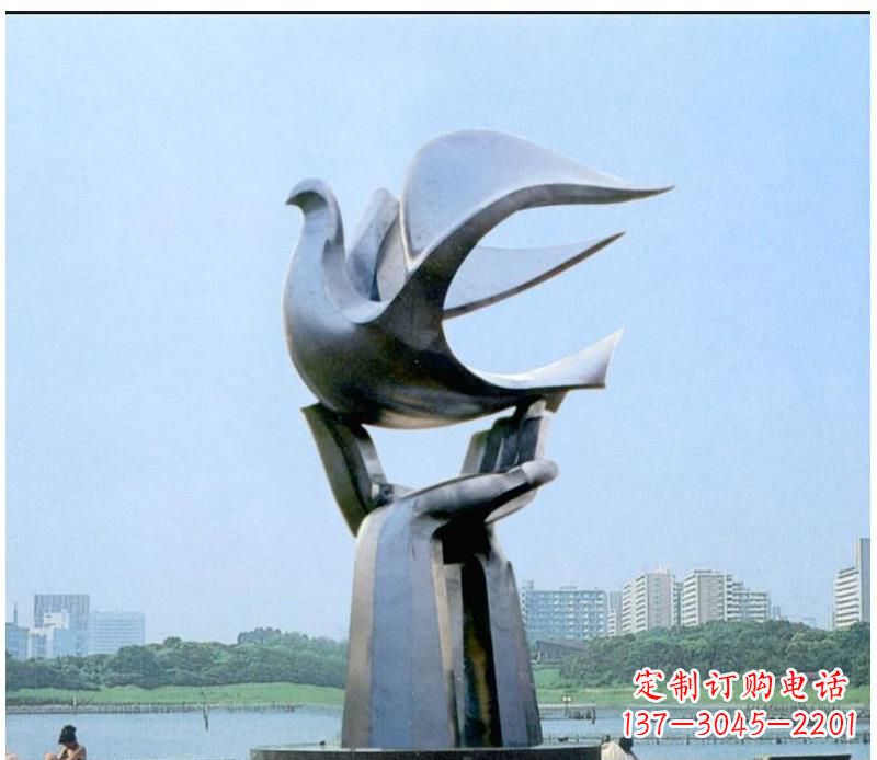 达州静谧之鸽,传递和平象征~