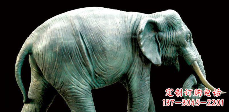 达州公园大象动物铜雕 (3)