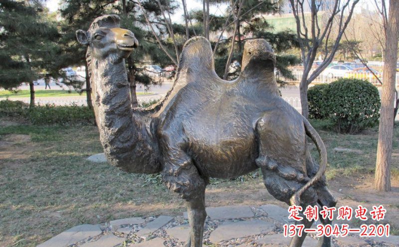 达州铜骆驼雕塑——浓缩自然美丽