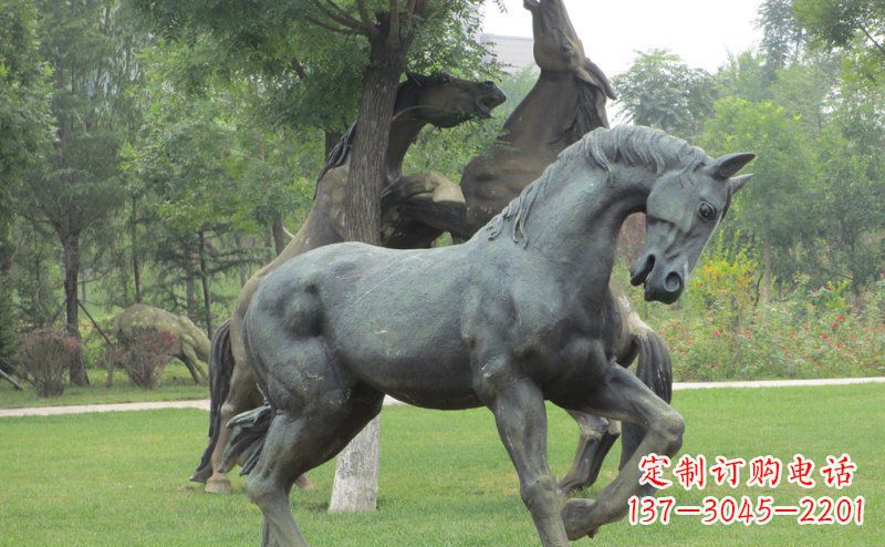 达州公园马动物景观铜雕 (2)
