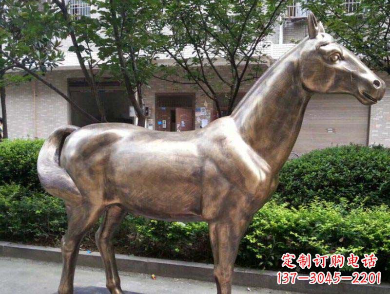 达州精美铜雕动物