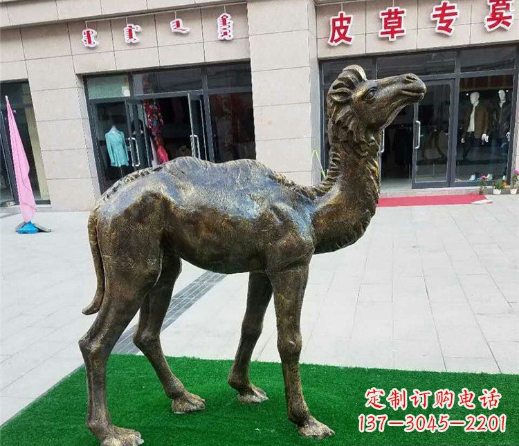 达州公园小骆驼动物铜雕 (2)