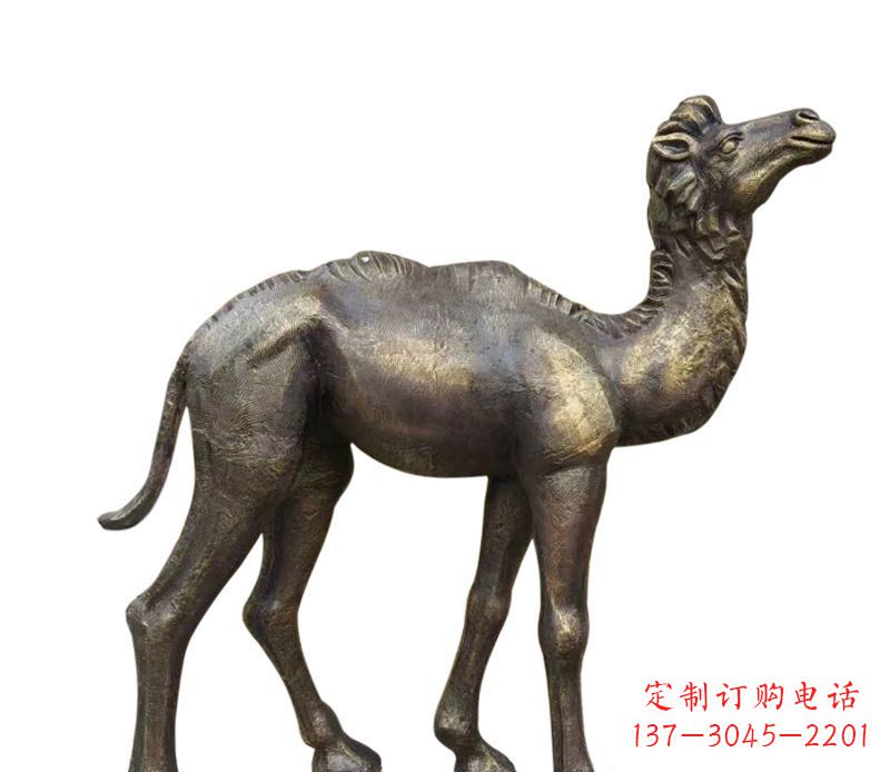 达州奇美洁净的骆驼铜雕