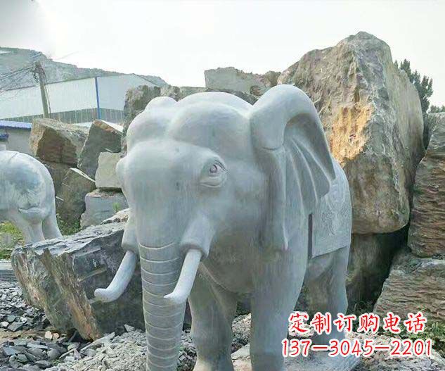 达州广场景观大理石大象石雕 (2)