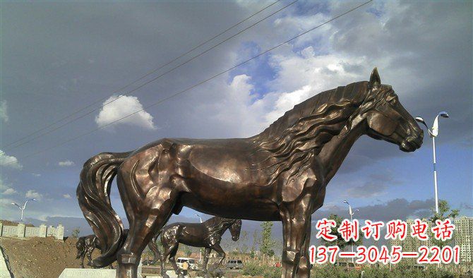 达州广场马动物铜雕 (2)