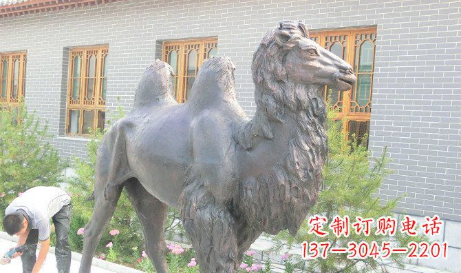 达州骆驼公园动物铜雕 (2)