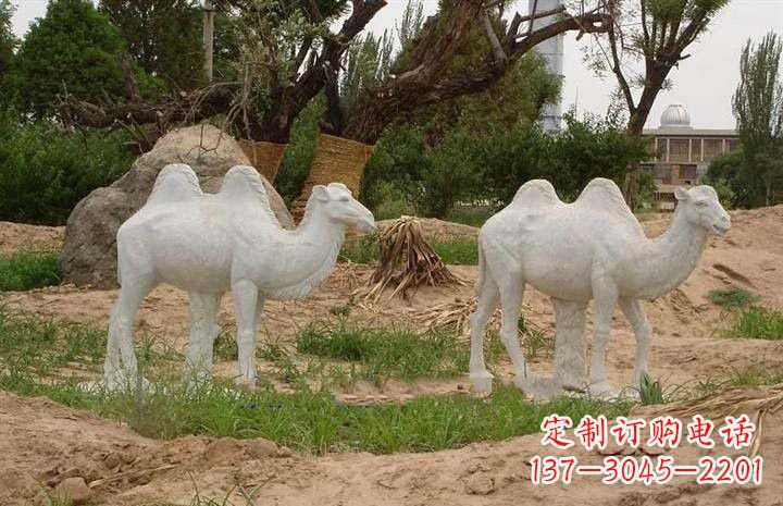 达州欣赏大自然,石雕骆驼公园动物雕塑邀请您
