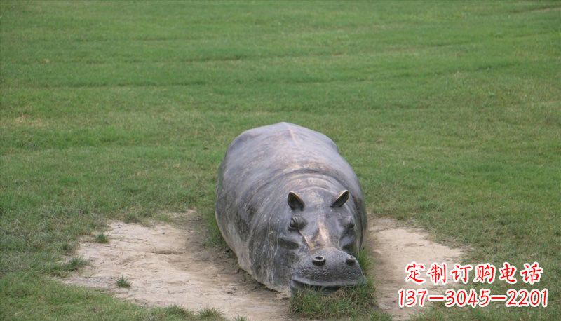 达州铜雕趴着的河马