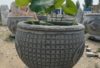 达州荷花鱼石雕塑，精美雕塑展现浪漫情怀