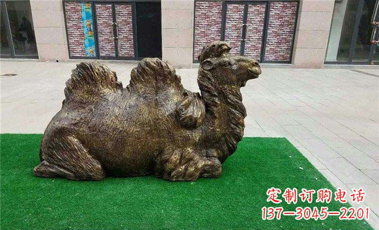 达州卧着的骆驼动物铜雕