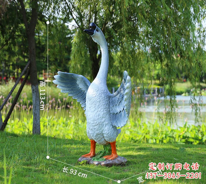 达州站立的灰色展翅天鹅