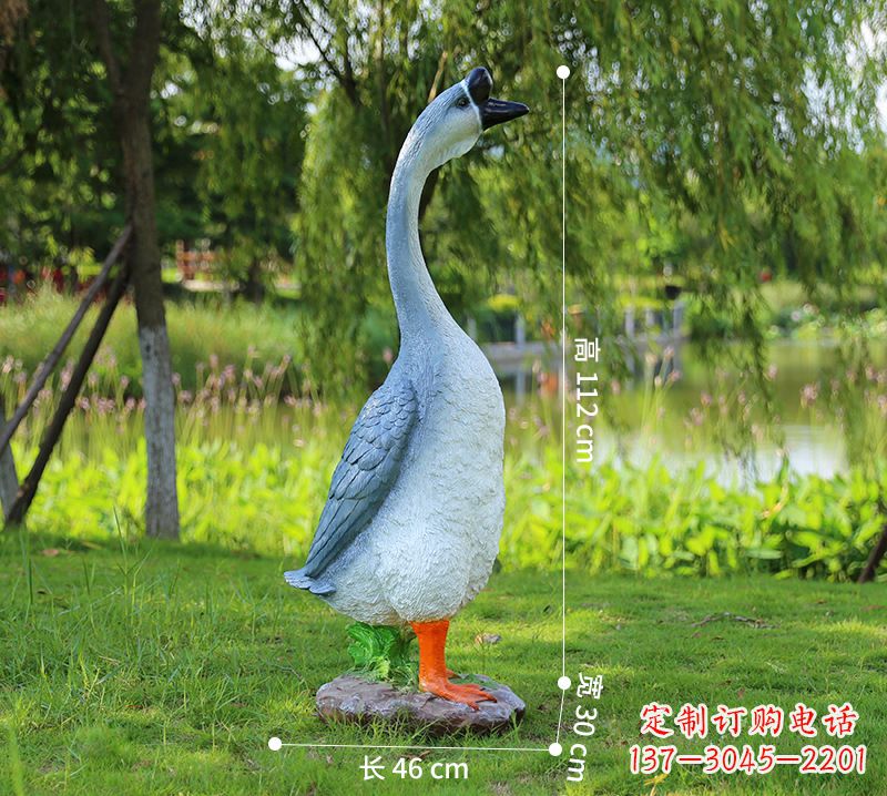 达州站立立脖灰色天鹅